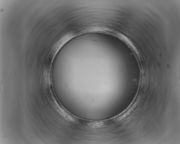 X0000064750810200602131225