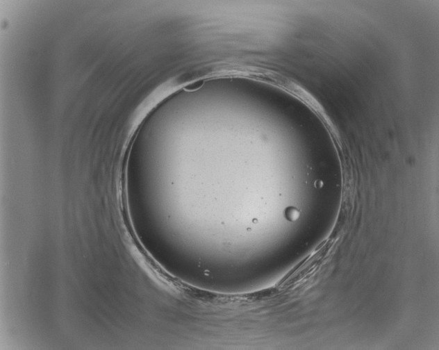 X0000064750811200602131225