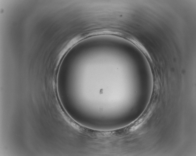 X0000064750813200602131225