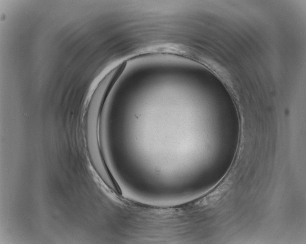 X0000064750816200602131225