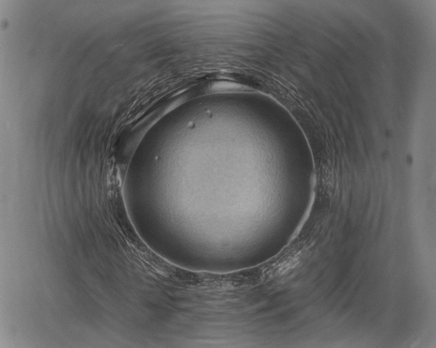 X0000064750818200602131224