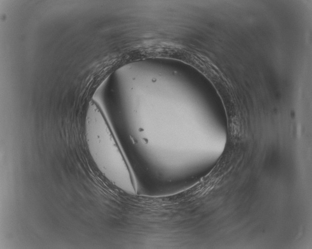 X0000064750820200602131224