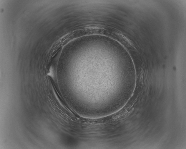 X0000064750821200602131224