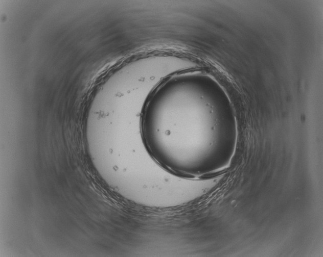 X0000064750824200602131224