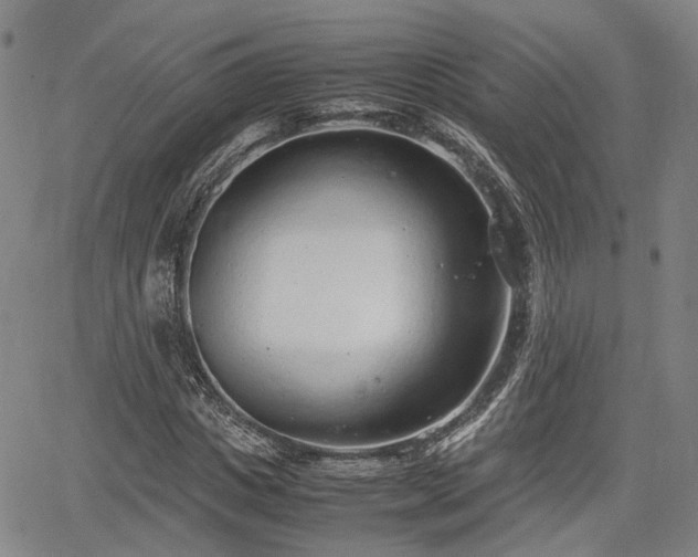 X0000064750825200602131224