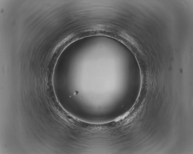 X0000064750826200602131224