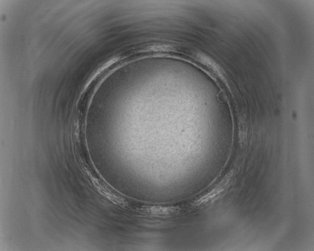 X0000064750827200602131224