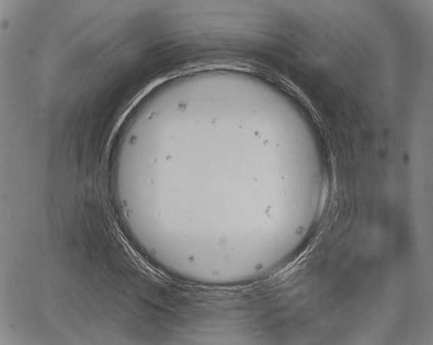 X0000064750828200602131224