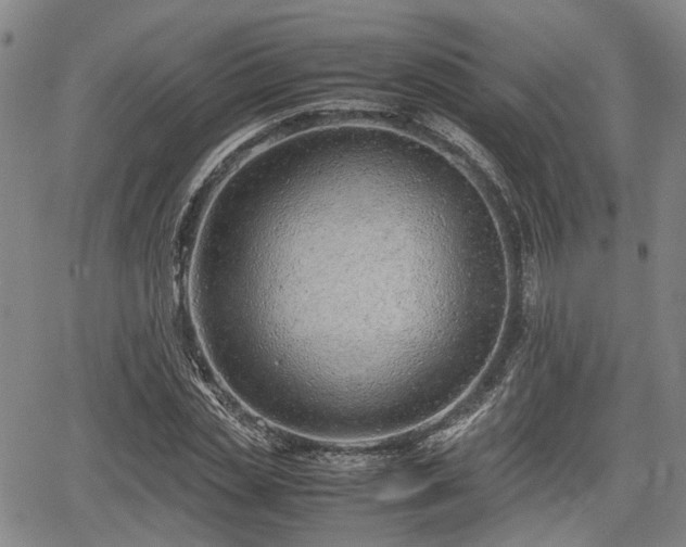 X0000064750829200602131224