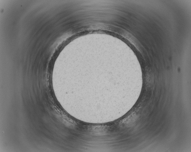 X0000064750832200602131224