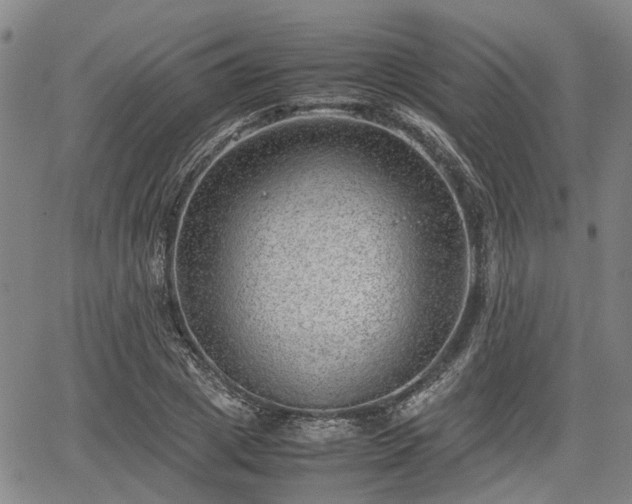 X0000064750833200602131224