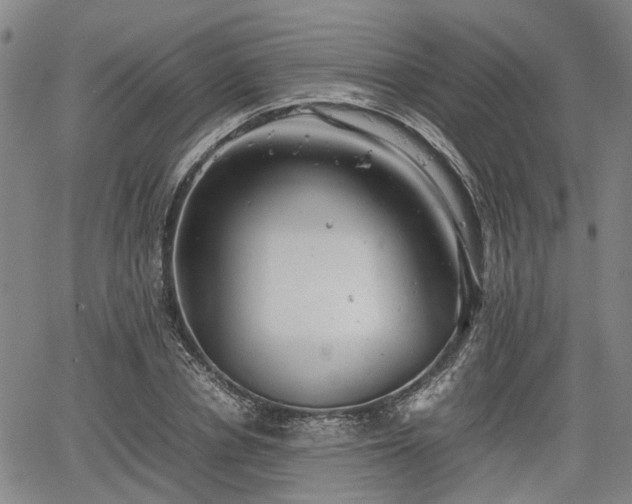 X0000064750834200602131224