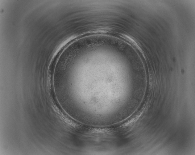 X0000064750835200602131224