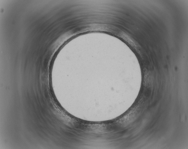 X0000064750836200602131224