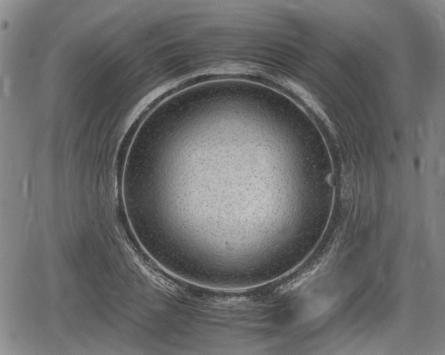 X0000064750837200602131224