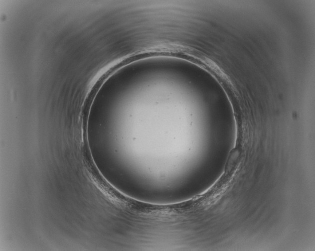 X0000064750838200602131224