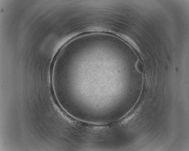 X0000064750839200602131224