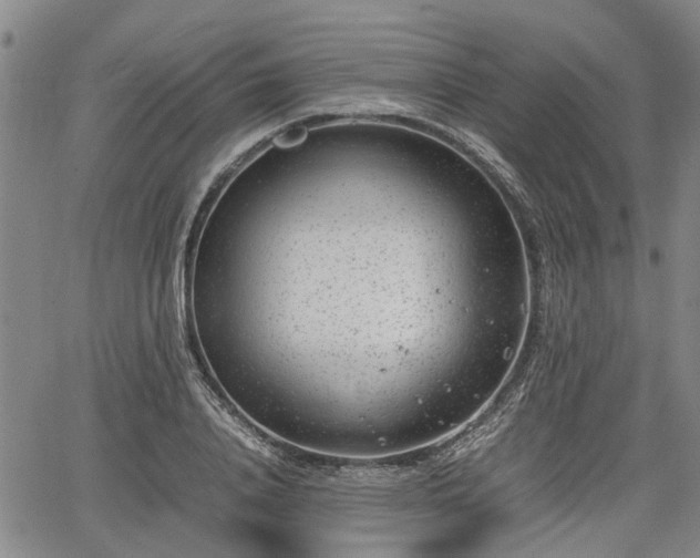 X0000064750840200602131224