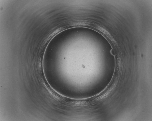 X0000064750841200602131224