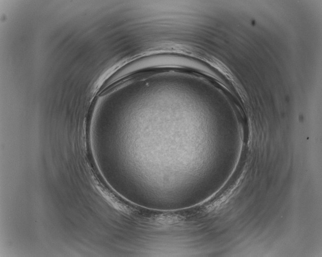 X0000064750842200602131224