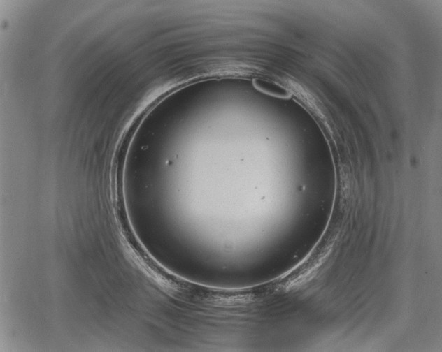 X0000064750843200602131224