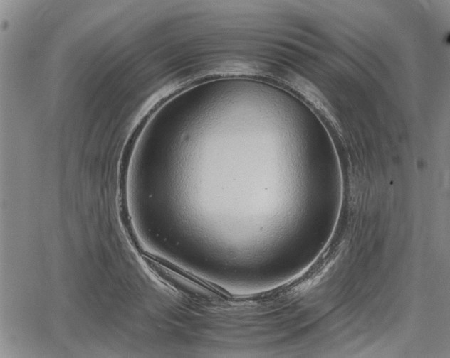 X0000064750845200602131224