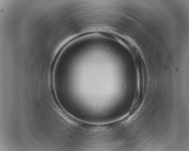 X0000064750846200602131224