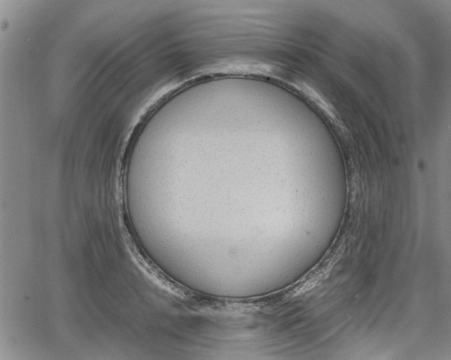 X0000064750848200602131224