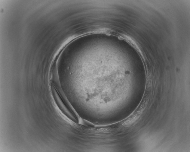 X0000064750851200602131224