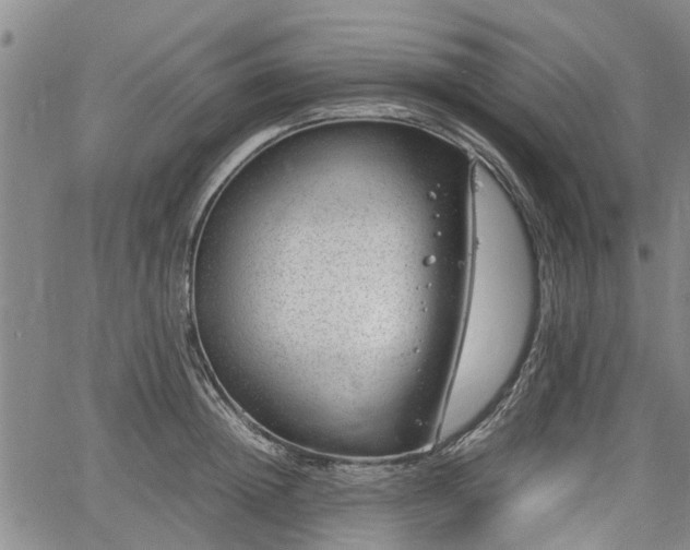 X0000064750852200602131224