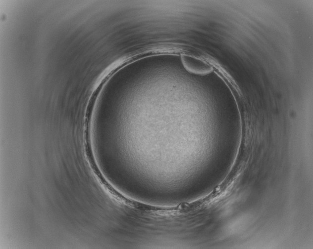 X0000064750853200602131225