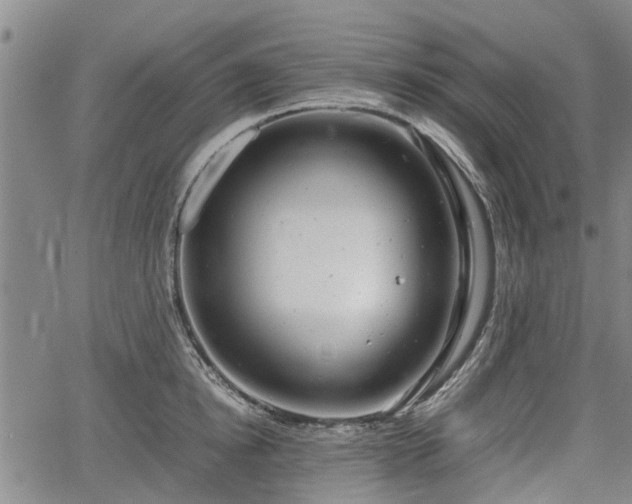 X0000064750854200602131225