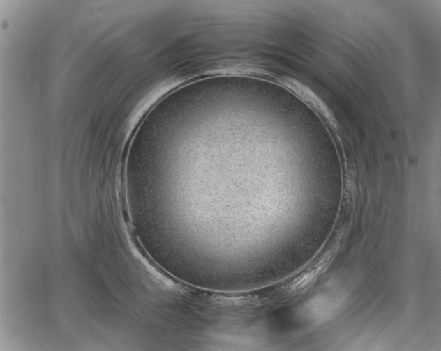 X0000064750855200602131225