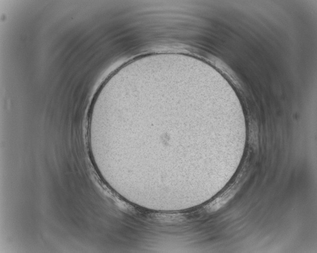 X0000064750856200602131225