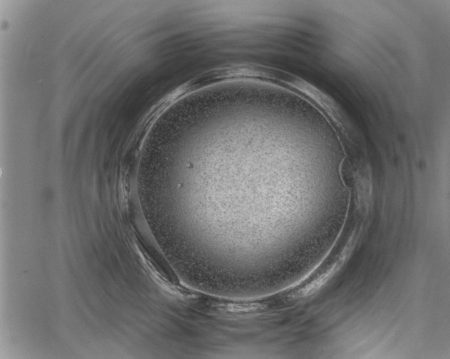 X0000064750857200602131225