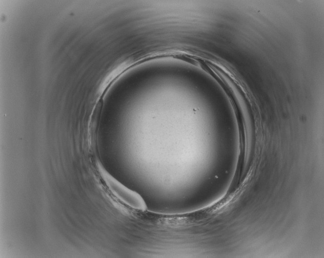 X0000064750858200602131225