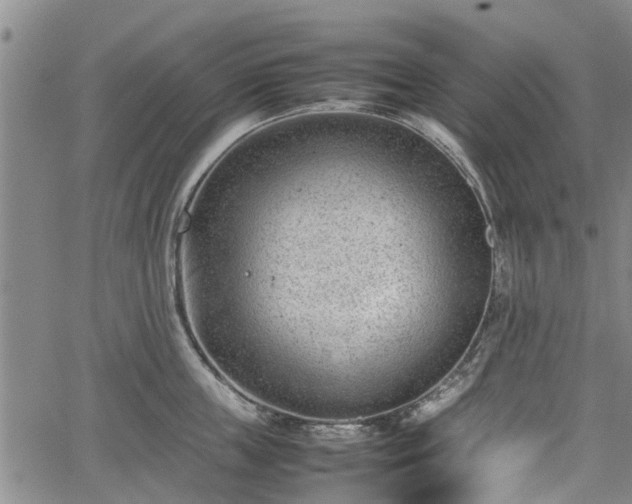 X0000064750859200602131225