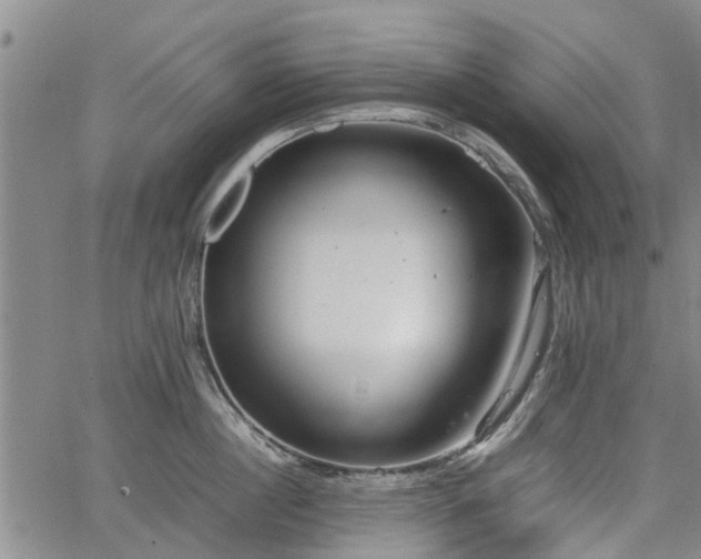 X0000064750860200602131225