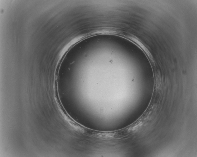 X0000064750861200602131225