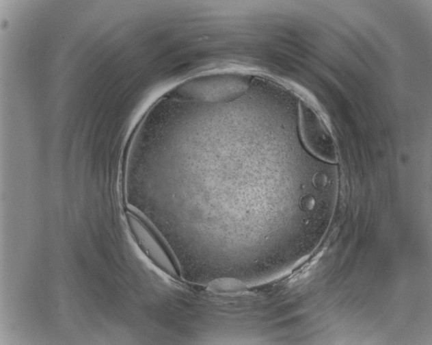 X0000064750863200602131225