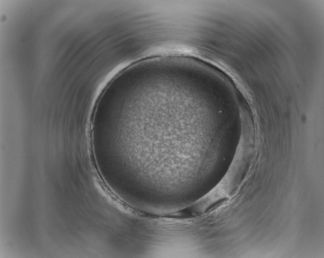 X0000064750864200602131225