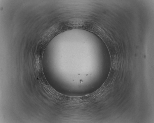 X0000064750866200602131224