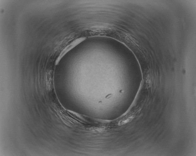 X0000064750868200602131224