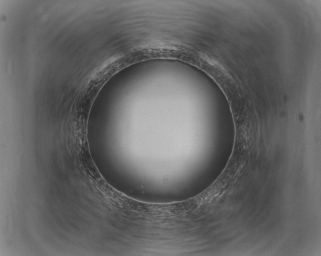 X0000064750870200602131224