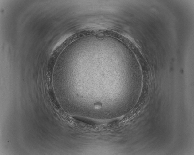 X0000064750871200602131224