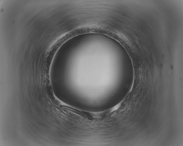 X0000064750872200602131224