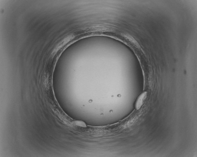 X0000064750873200602131224