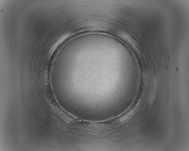 X0000064750875200602131224