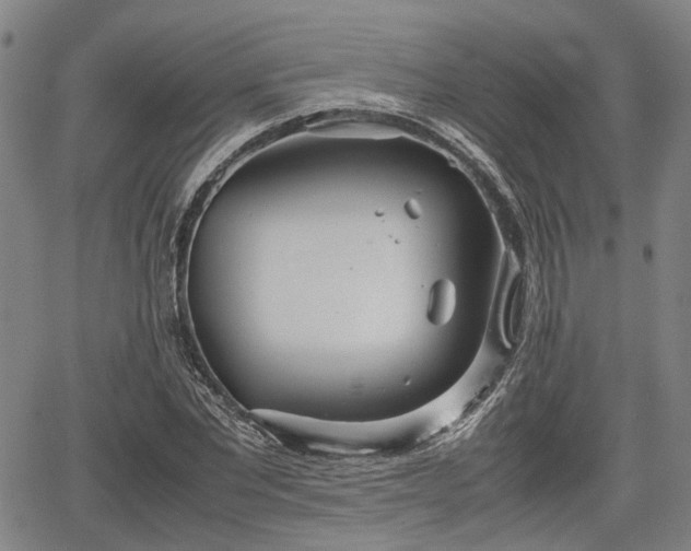 X0000064750877200602131224