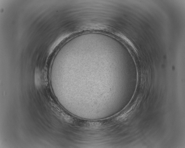 X0000064750878200602131224